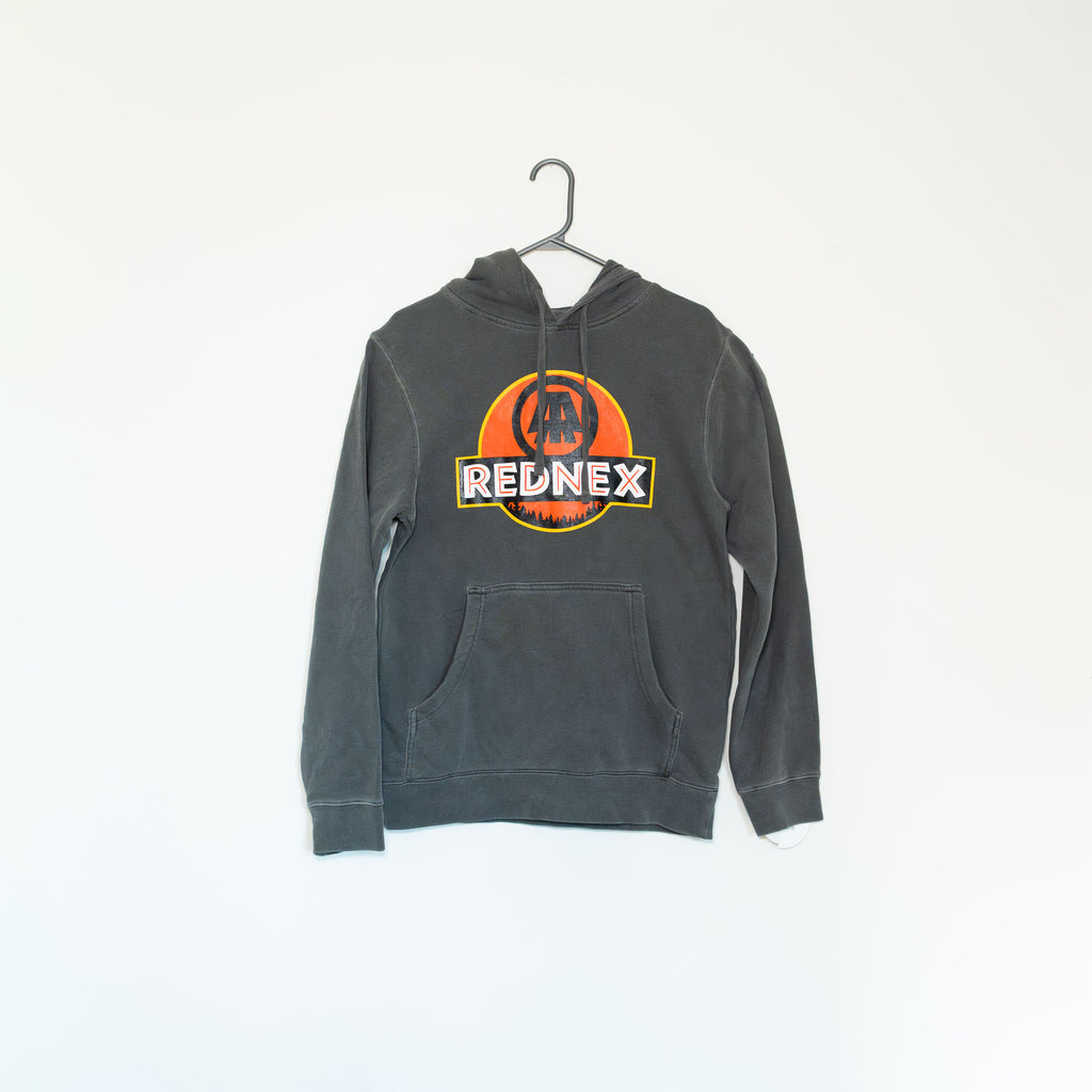 RR Dino Park Hoodie