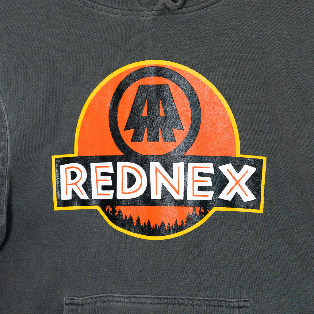 RR Dino Park Hoodie